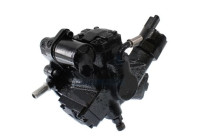 High pressure injection pump