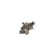 High Pressure Pump HDP-5-PE Bosch, Thumbnail 2