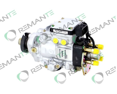 Injection pump, Image 2