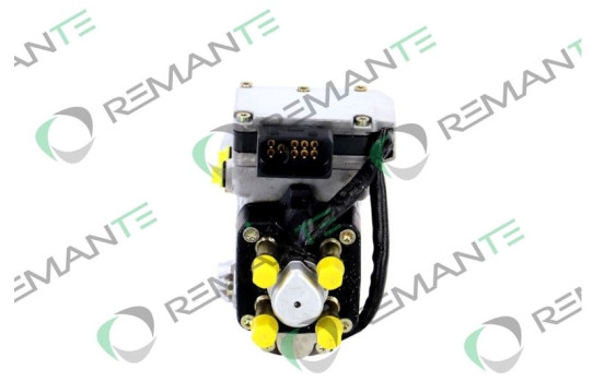 Injection pump, Image 2