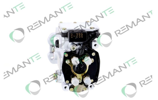 Injection pump, Image 2