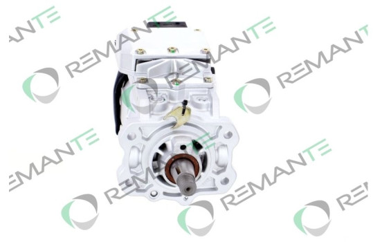 Injection pump, Image 5