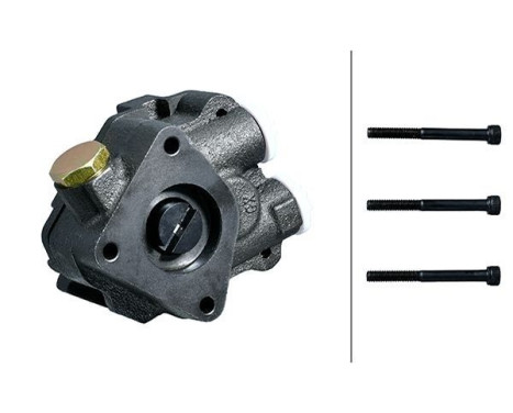 Pump, fuel pre-supply