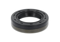 Sealing ring, fuel pump