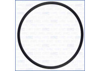 Sealing ring