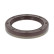 Shaft Seal, injector pump, Thumbnail 2