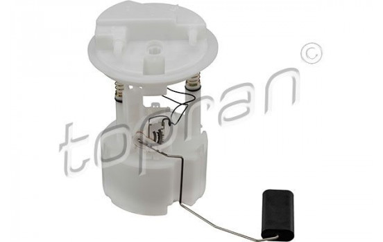 Sensor, fuel supply