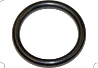 Seal, fuel sender unit 3730095 Van Wezel