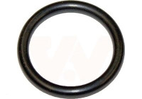 Seal, fuel sender unit 3730095 Van Wezel