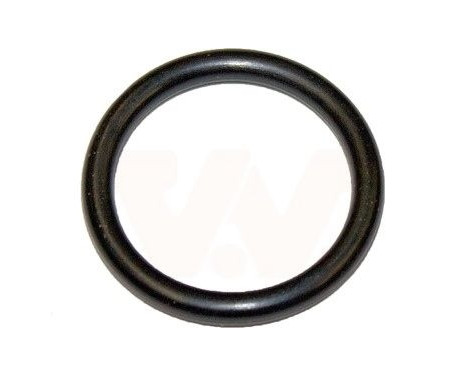 Seal, fuel sender unit 3730095 Van Wezel