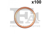 Burning plates, Injector/Atomizer