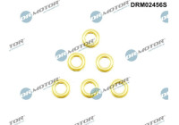 Burning plates, Injector/Atomizer