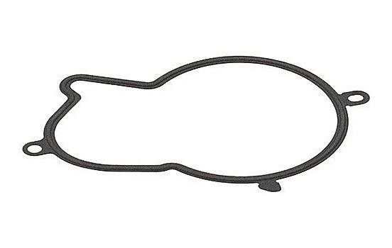 Gasket, injection pump