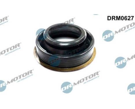 Gasket, Injector