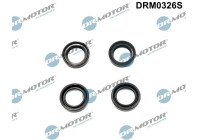 Gasket, Injector