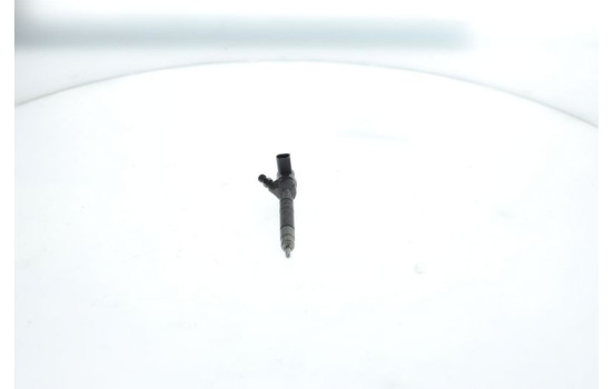 Injector/Atomizer BX-CRI1 Bosch, Image 2