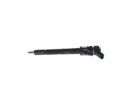 Injector/Atomizer BX-CRI2 Bosch