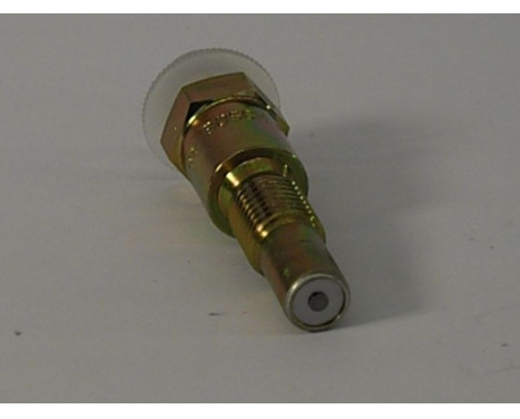 Injector/Atomizer EP/DCC45R3 Bosch, Image 7