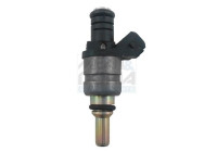 Injector/Atomizer