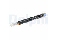 Injector/Atomizer