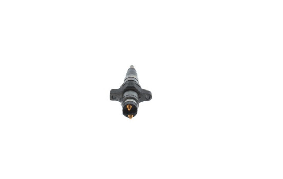 Injector BX-CRIN1 Bosch, Image 2