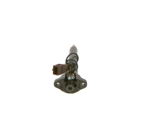 Nozzle and Holder Assembly 0 432 191 527 Bosch
