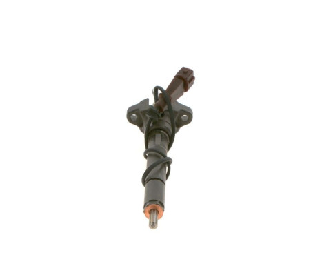 Nozzle and Holder Assembly 0 432 191 527 Bosch, Image 3