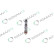 REMAN INJ CR DELPHI 28229876, Thumbnail 5