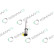 REMAN INJ CR DELPHI A6510701287, Thumbnail 2