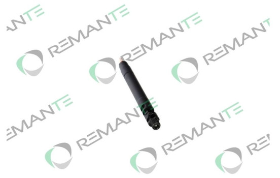 REMAN INJ CR DELPHI R00101D, Image 2