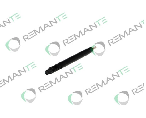 REMAN INJ CR DELPHI R00101D, Image 3