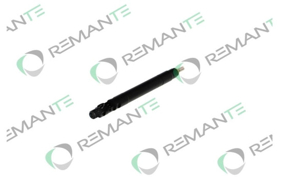 REMAN INJ CR DELPHI R00101D, Image 3