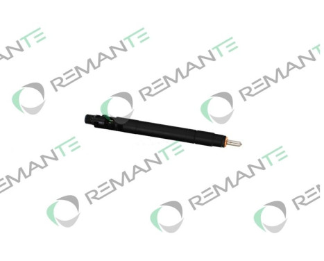 REMAN INJ CR DELPHI R00101D, Image 4