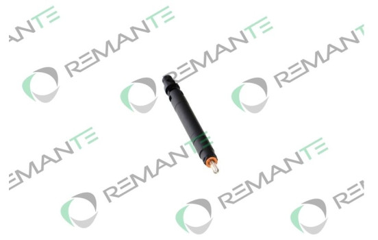 REMAN INJ CR DELPHI R00101D, Image 5