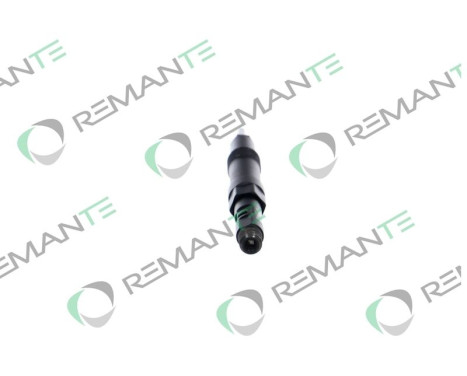 REMAN INJ CR DELPHI R01001D, Image 2