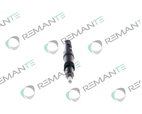 REMAN INJ CR DELPHI R01001D, Image 5