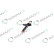 REMAN INJ CR DENSO DCRI100750, Thumbnail 5
