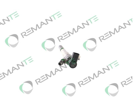 REMAN INJ CR SIEMENS/VDO 166000372R, Image 2