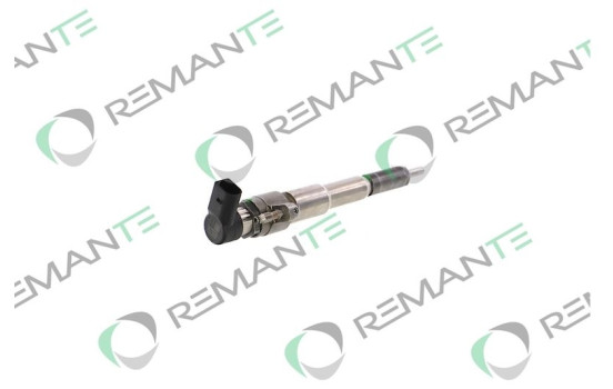 REMAN INJ CR SIEMENS/VDO 166000372R, Image 3