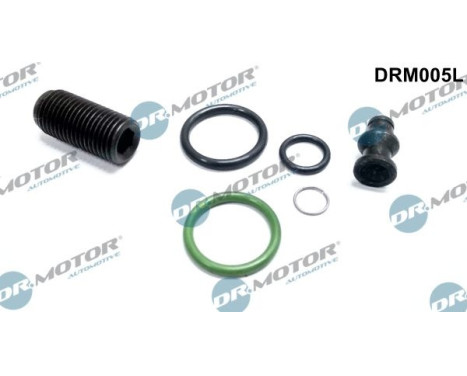 Repair kit, pump-injector unit