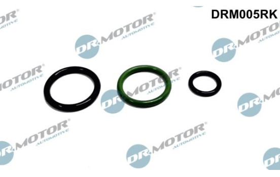 Repair kit, pump-injector unit