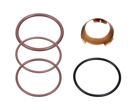 Repair Kit, pump-nozzle unit 104465 FEBI