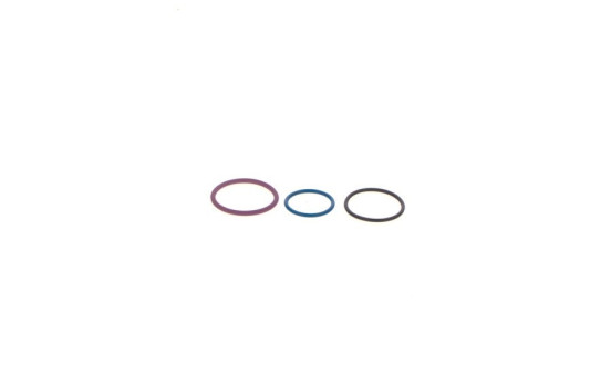 Repair Kit, pump-nozzle unit F 00V X99 999 Bosch, Image 4