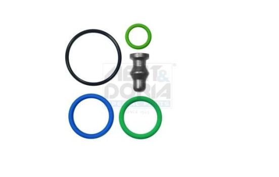 Repair Kit, pump-nozzle unit