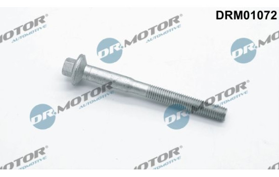 Screw, injection nozzle holder
