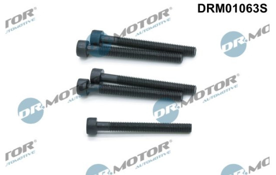 Screw, injection nozzle holder
