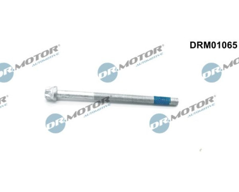 Screw, injection nozzle holder