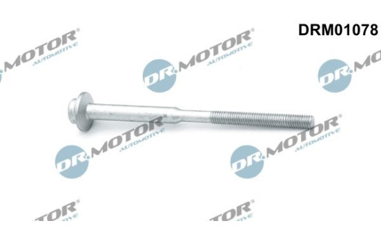 Screw, injection nozzle holder