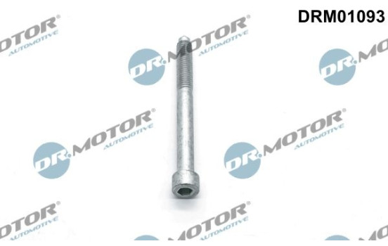 Screw, injection nozzle holder