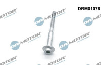 Screw, injection nozzle holder